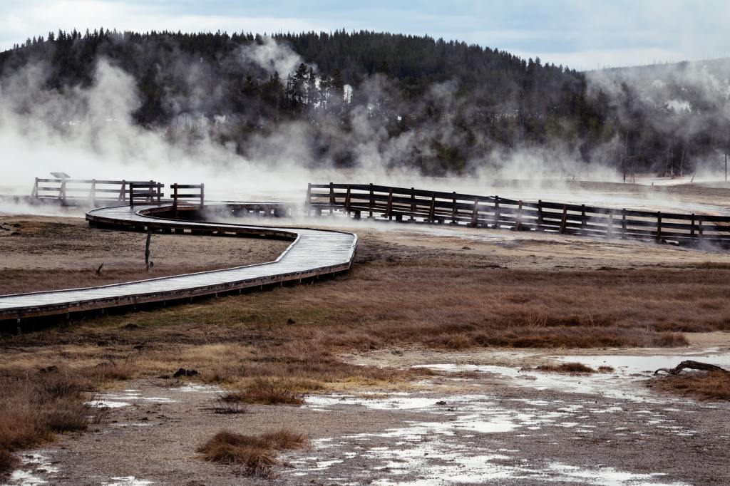 Your Ultimate Guide to Visiting Yellowstone National Park in Spring: Tips for Wildlife Watching, Hiking, and&nbsp;More