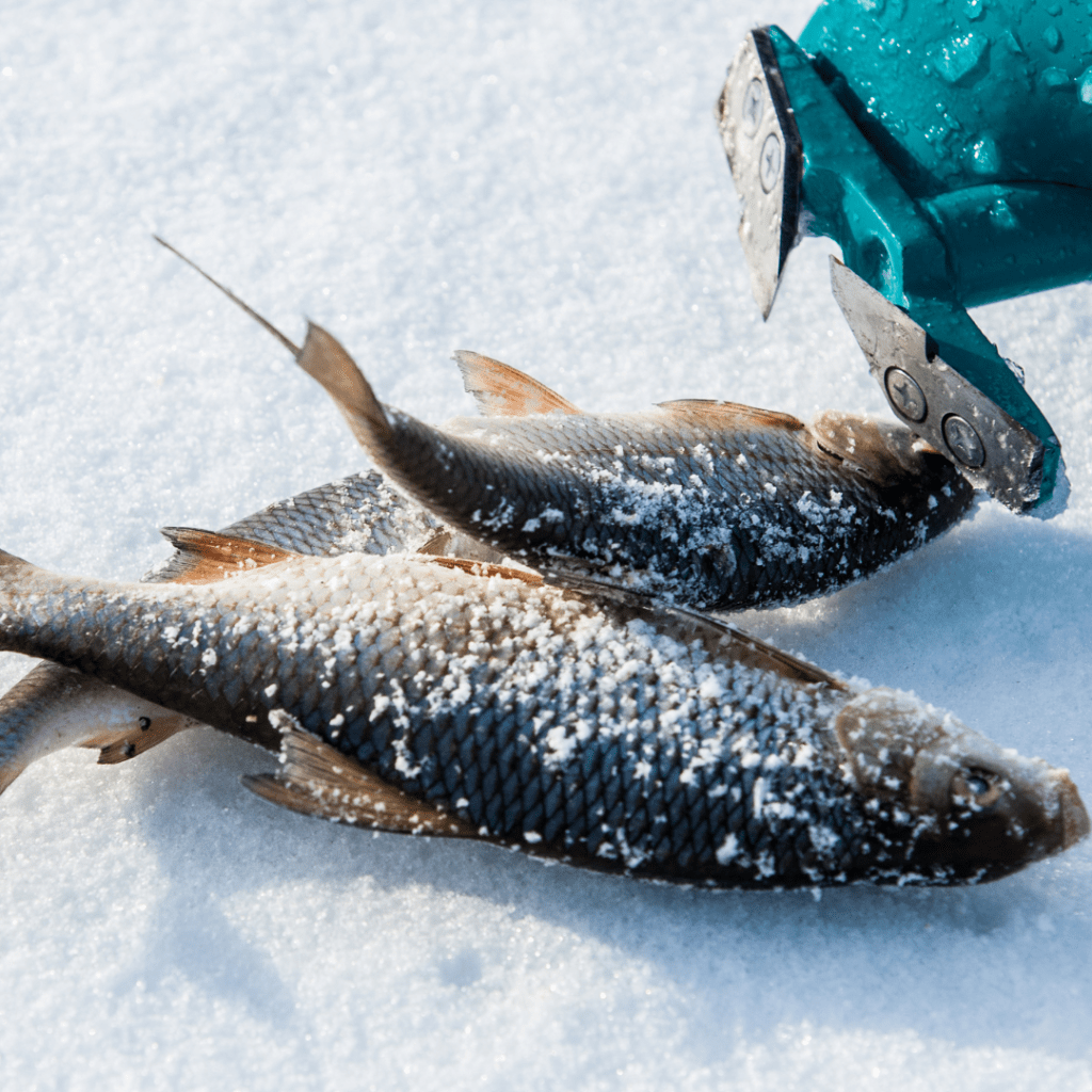 The Ice Fisherman’s Guide: Understanding the Basics of Ice&nbsp;Fishing