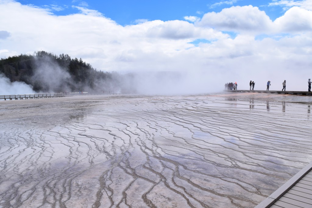 From Snow to Showers: Embracing the Charm of Early Spring in&nbsp;Yellowstone