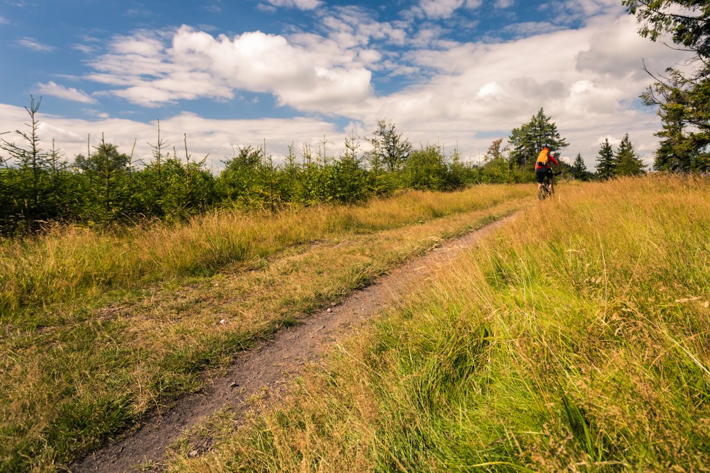 Discover West Yellowstone: Your Ultimate Guide to Hiking, Biking, and&nbsp;Trails