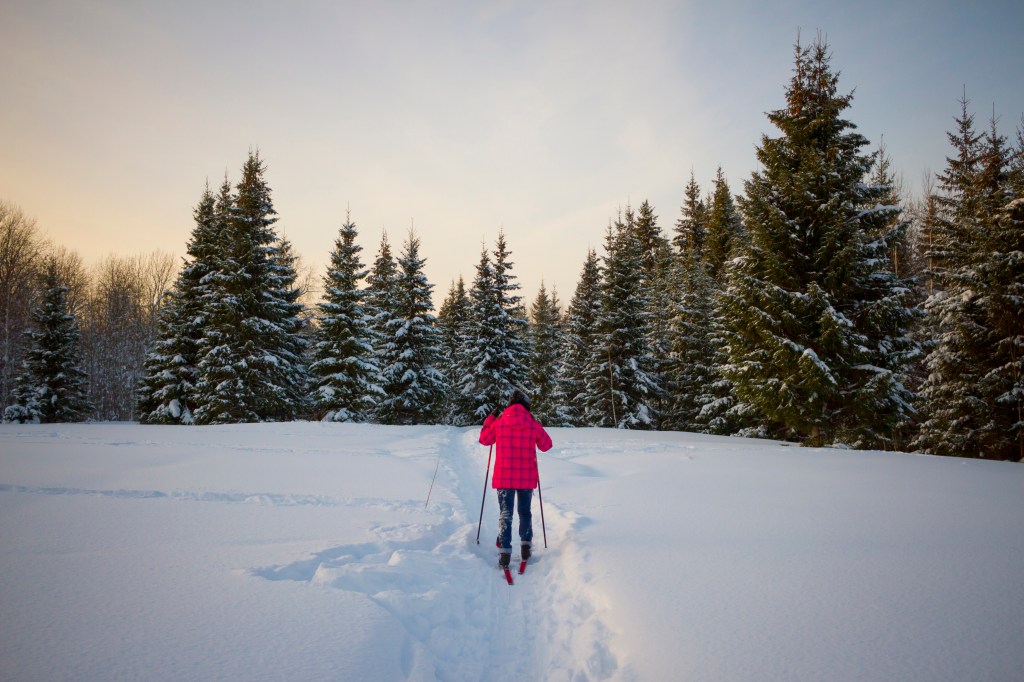 Beginner’s Guide to Cross-Country Skiing in West&nbsp;Yellowstone